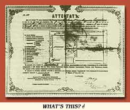 Marie Curie's High School Diploma